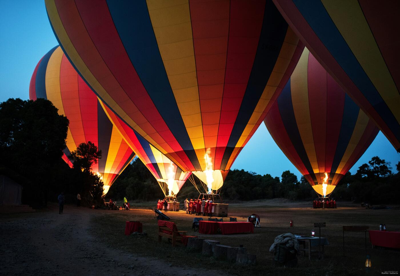 Hot air balloons at dawn