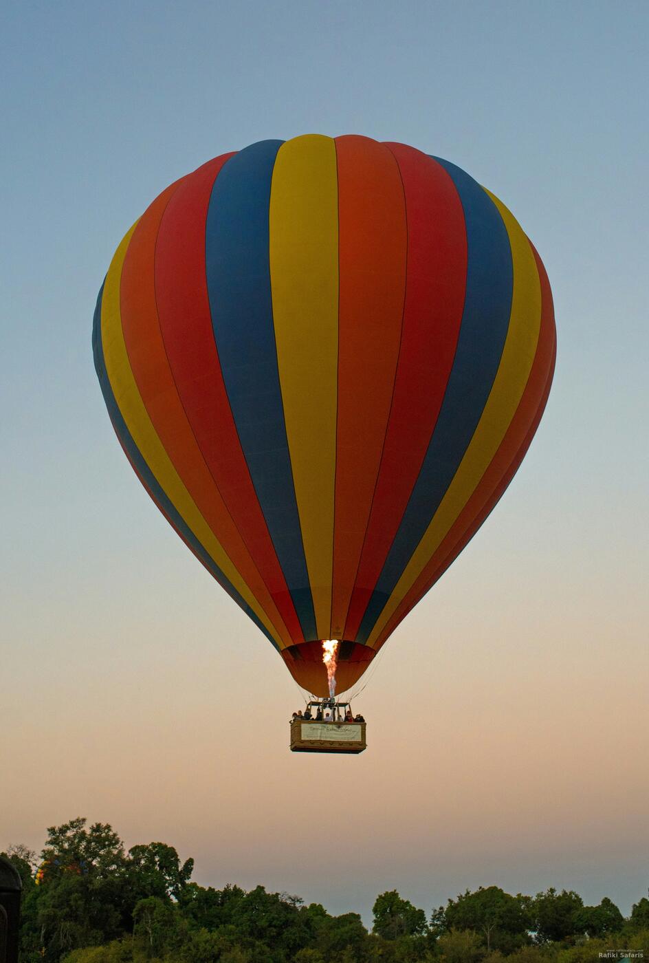 Hot air balloon over the trees