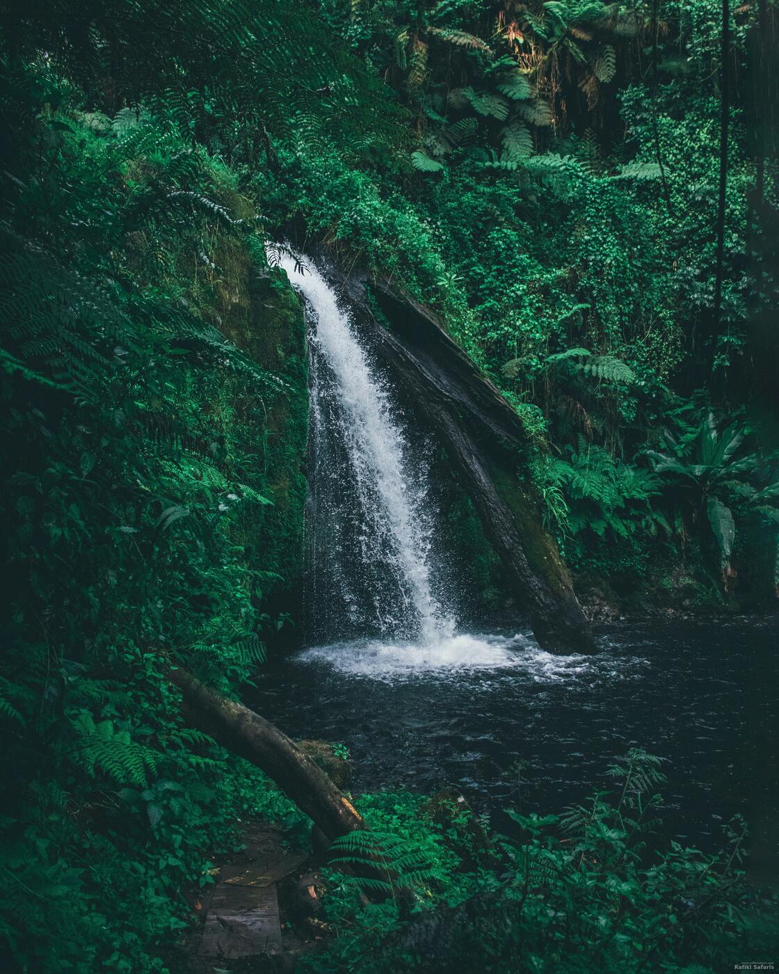 Waterfall in Uganda rainforest